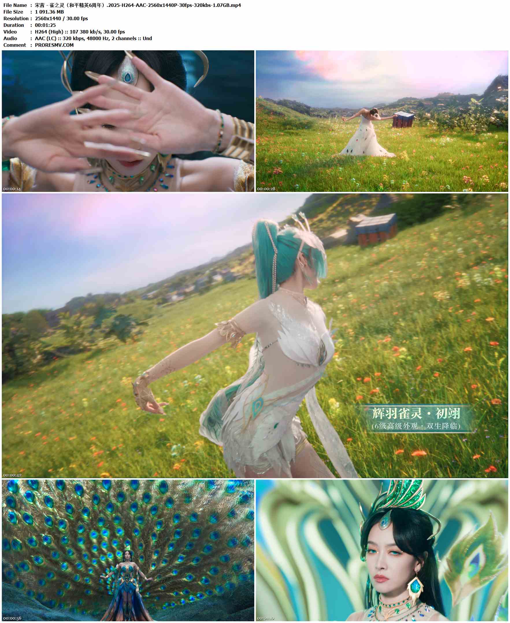 宋茜 - 雀之灵（和平精英6周年）.2025-H264-AAC-2560x1440P-30fps-320kbs-1.07GB官方MV_高清MV